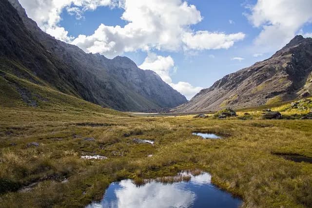 10 Essential Steps to Kickstart Your Photography Career