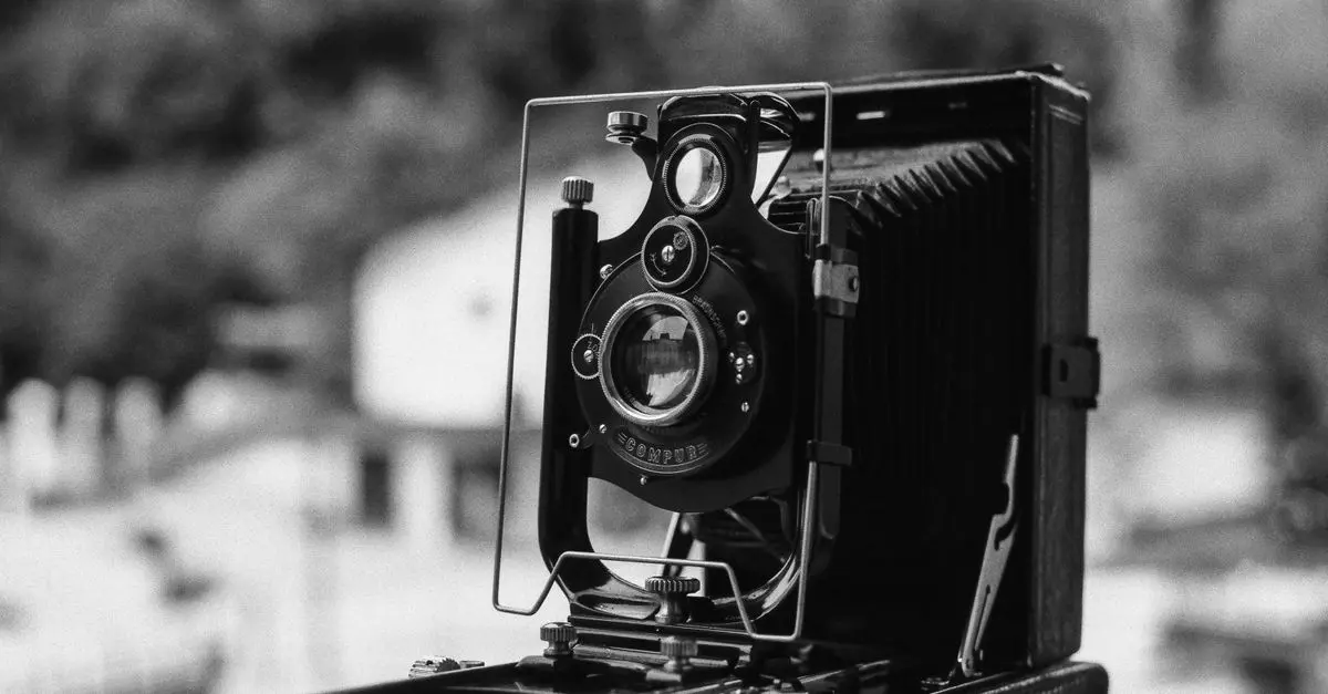 Exploring the World of Black and White Photography