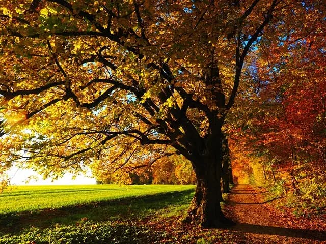 How to Effectively Build Your Photography Skills: A Practical Guide