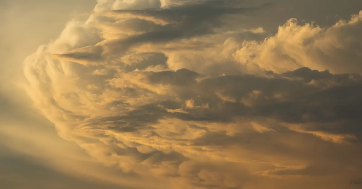 10 Essential Tips to Enhance Your Photography Skills