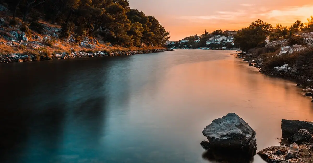 Essential Tips to Master the Art of Photography