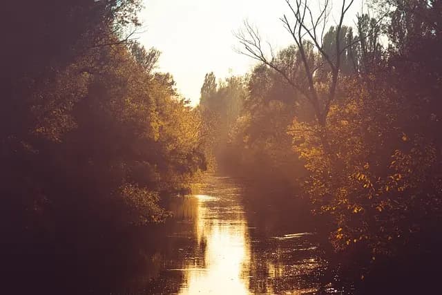 10 Essential Steps to Become a Photographer
