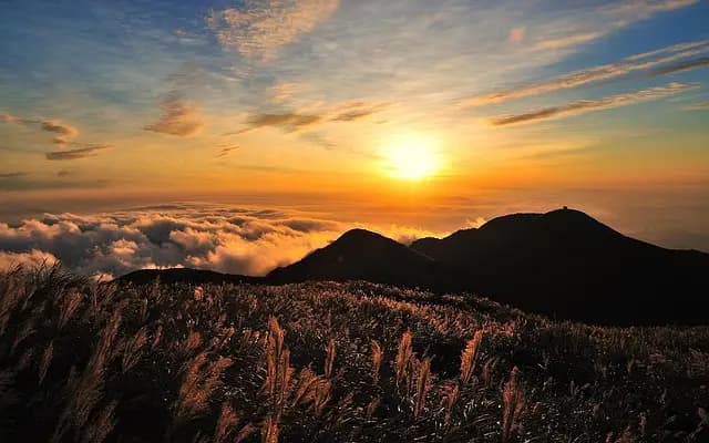 7 Essential Steps to Start Your Journey as a Photographer