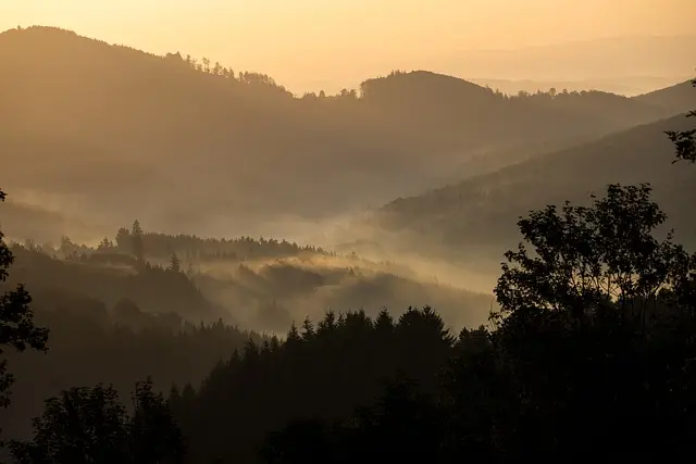 10 Essential Tips to Start Your Journey as a Photographer