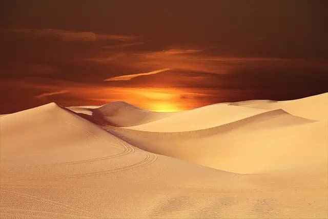 How to Master Photography Techniques and Succeed