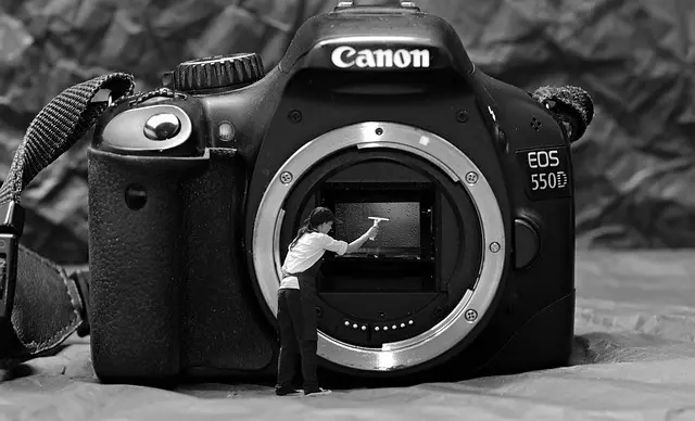 10 Essential Tips for New Photographers to Succeed