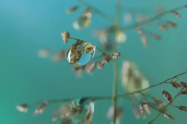 How to Effectively Develop Your Photography Skills