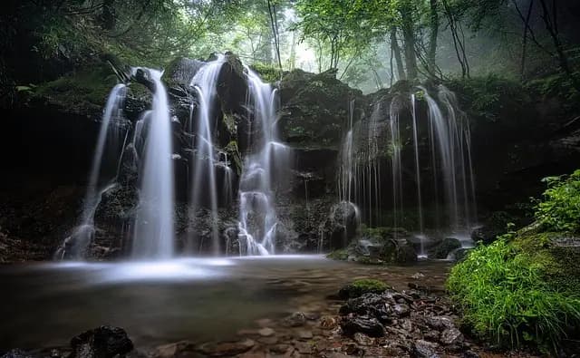 How to Choose the Right Photography Course for Your Skills