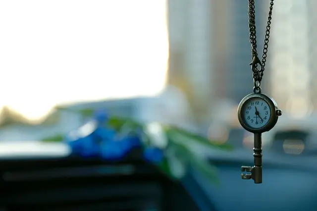 10 Essential Steps to Start Your Photography Journey