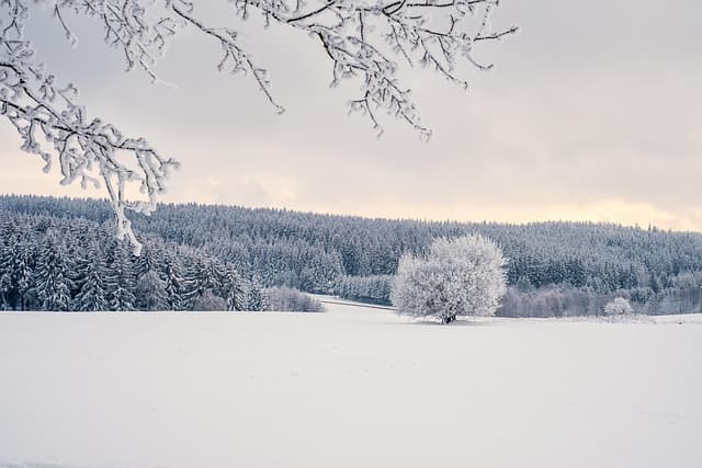 10 Tips to Ensure Your Success as a Photographer