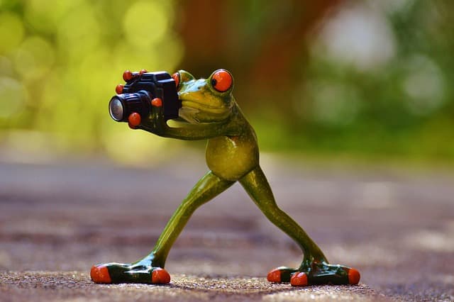 How to Get Started in Photography: A Beginner's Guide