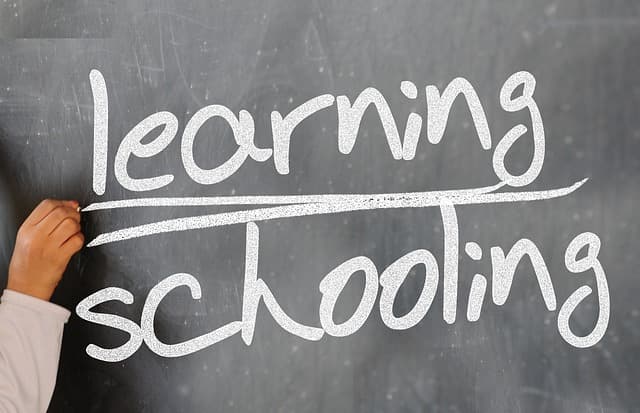 Essential Steps to Choosing the Right Photography Course