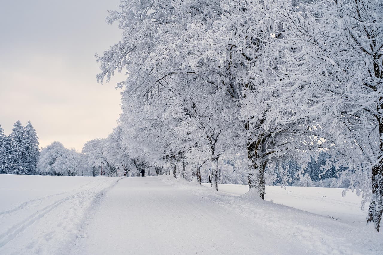 Essential Tips to Develop Your Photography Skills