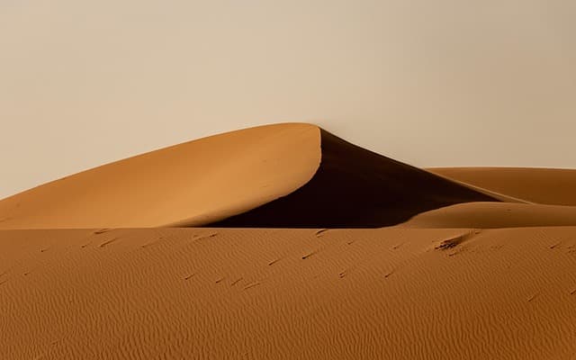 How to Develop Your Photography Skills: A Practical Guide