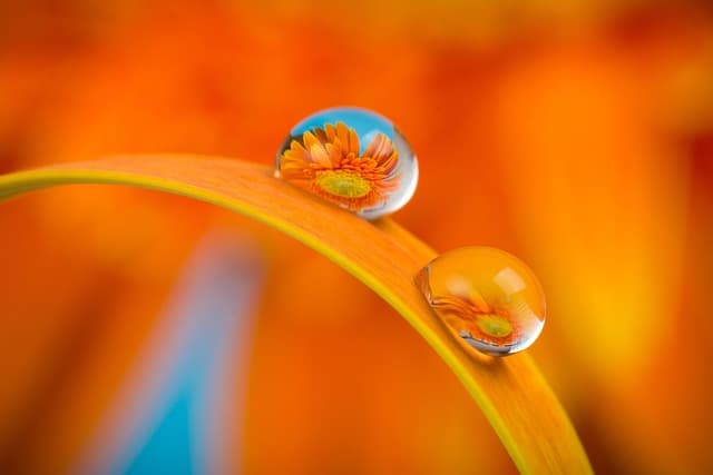 10 Essential Strategies to Build Your Photography Brand